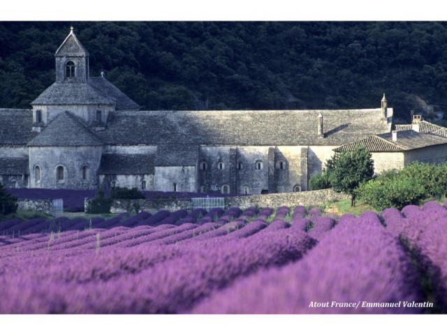 プロヴァンス地方で暮すように滞在し、南フランスの郷土料理を学ぶ6日間