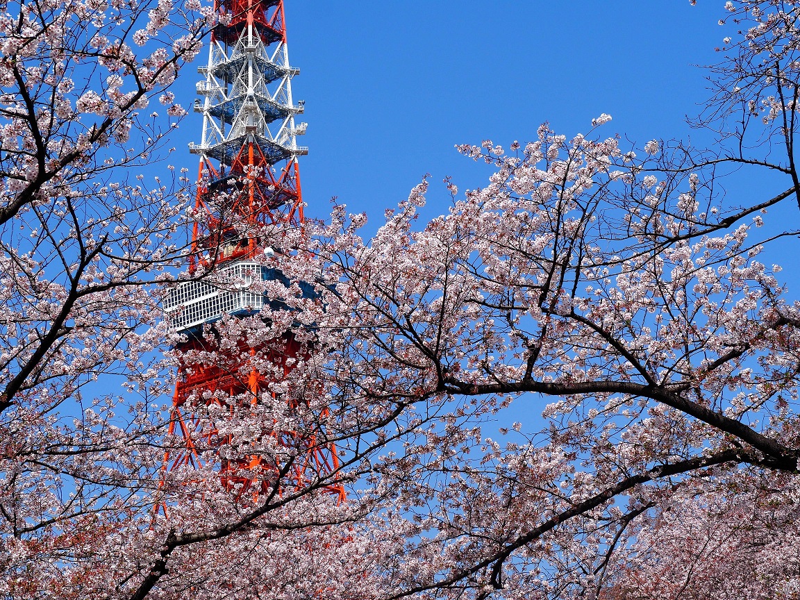 Tokyo Property Tour + Sushi Roll Cooking